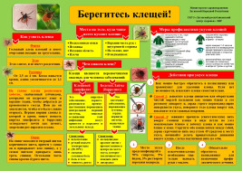 Осторожно клещи!!!
