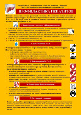 Профилактика гепатитов